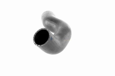 FURTUN EAR SUPRAALIMENTARE ACKOJA A380307 3