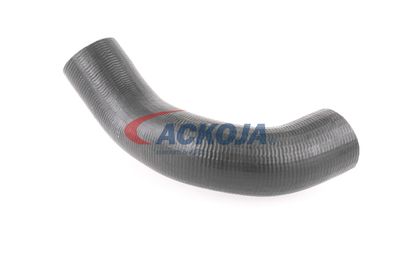 FURTUN EAR SUPRAALIMENTARE ACKOJA A380298 39
