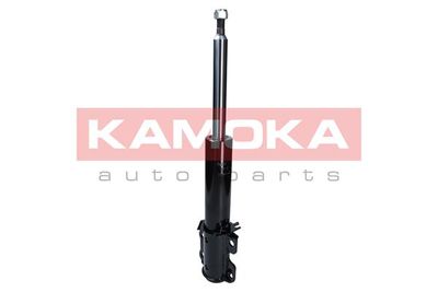 Shock Absorber 2000475