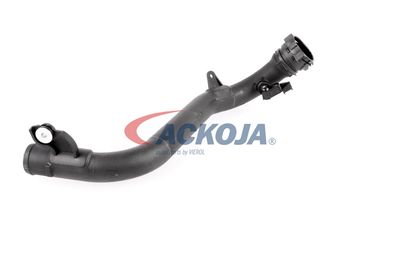 FURTUN EAR SUPRAALIMENTARE ACKOJA A380387 54