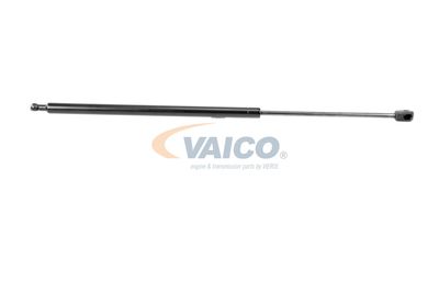 GASFEDER KOFFER-/LADERAUM VAICO V460438 13