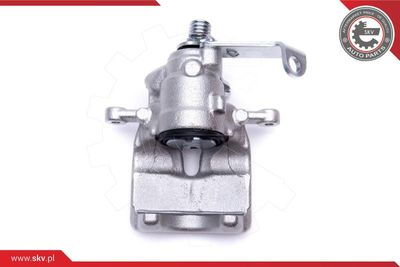 Brake Caliper 56SKV244