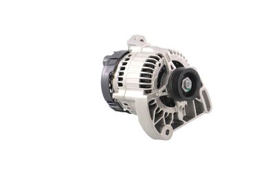 GENERATOR / ALTERNATOR REMANTE 011003000365R 53