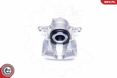 Brake Caliper 42SKV232