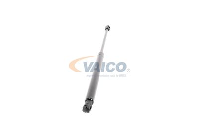 AMORTIZOR PORTBAGAJ VAICO V101953 50
