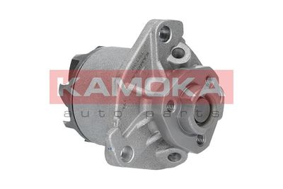 Water Pump, engine cooling T0138