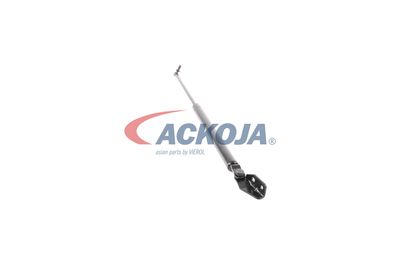 FILTRU AER ACKOJA A320034 45