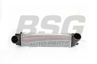 BSG BSG 15-535-001 Інтеркулер 