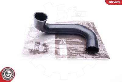 FURTUN EAR SUPRAALIMENTARE