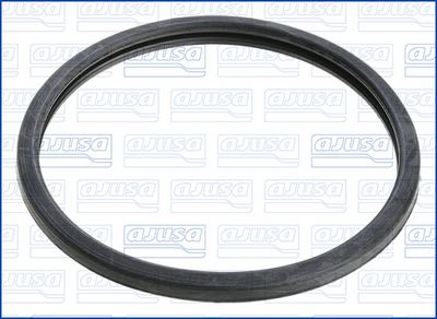 GARNITURA TERMOSTAT AJUSA 00813100