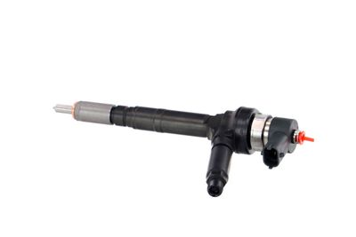 INJECTOR REMANTE 002003001191R 15