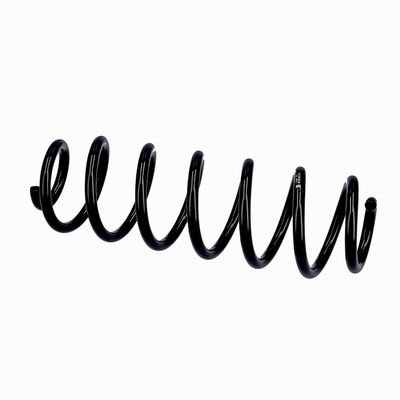 ARC SPIRAL EIBACH R10793 20