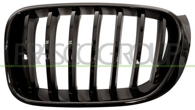 PRASCO BM8072004 Решетка радиатора  для BMW X3 (Бмв X3)