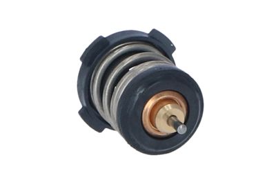 TERMOSTAT LICHID RACIRE NRF 725225 22