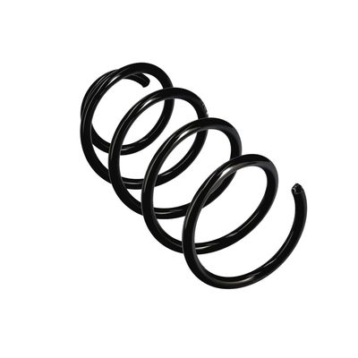 ARC SPIRAL EIBACH R23041 11