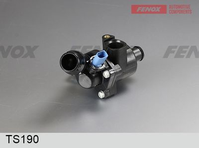 термостат, охладителна течност FENOX TS190