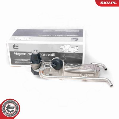 SUPAPA EGR ESEN SKV 14SKV095