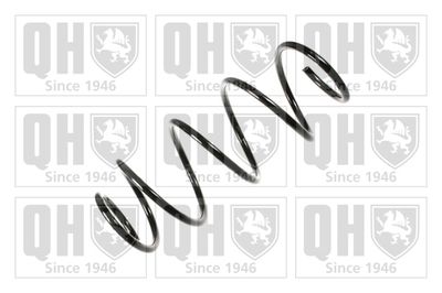 QUINTON HAZELL QCS6050 Пружина подвески  для FIAT (Фиат)