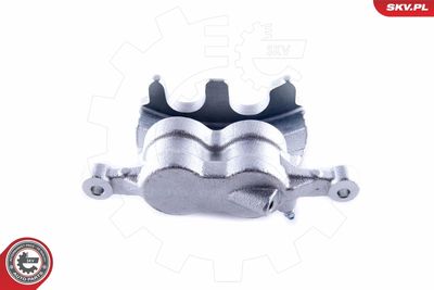 Brake Caliper 50SKV021