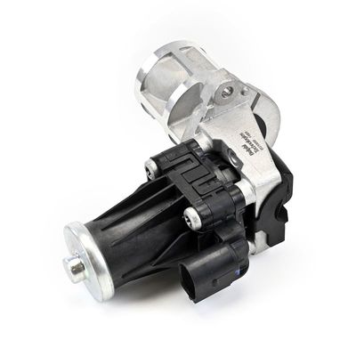 SUPAPA EGR DELPHI EG1065812B1 19