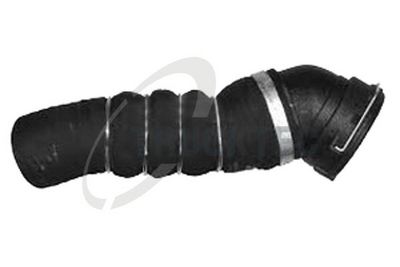 FURTUN EAR SUPRAALIMENTARE