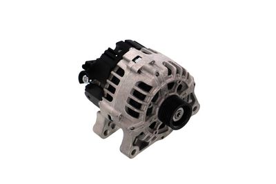 GENERATOR / ALTERNATOR REMANTE 011003000534R 53