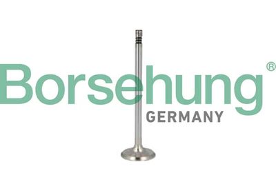 SUPAPA EVACUARE Borsehung B10352