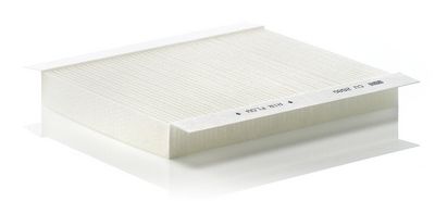 Filter, Innenraumluft