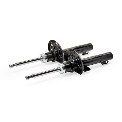 амортисьор RIDEX 854S1248