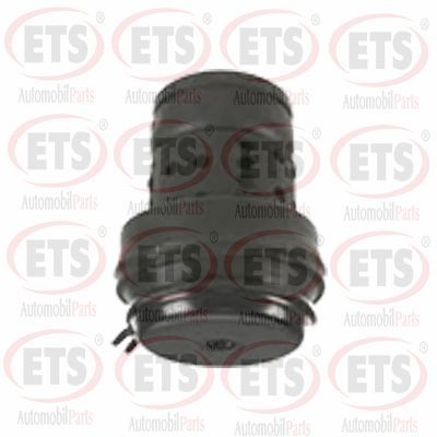 окачване, двигател ETS 31.ST.802