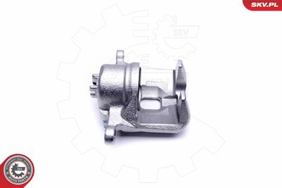 Brake Caliper 50SKV481