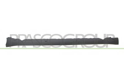 лайсна на входа PRASCO TS3001404