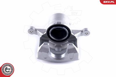 Brake Caliper 55SKV272