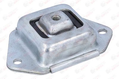 BUCSA PUNTE BIRTH 53920 12