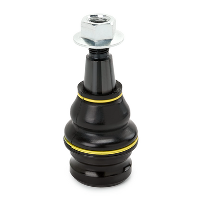 Шарнири RIDEX 2462S0351P