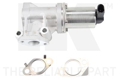 AGR-Клапан NK 4599033