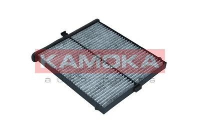 Filter, cabin air F512401