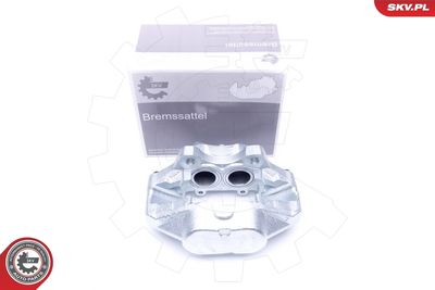 Brake Caliper 45SKV501