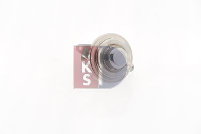 AGR-VENTIL AKS DASIS 155032N 15