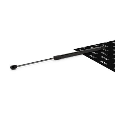 газов амортисьор, капак на двигателя RIDEX 514G0002