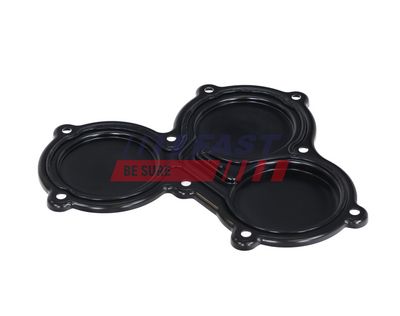 CAPAC CUTIE DE VITEZE MANUALă FAST FT11824 3