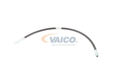 FURTUN FRANA VAICO V103077 14