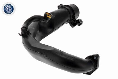 FURTUN EAR SUPRAALIMENTARE VAICO V461683 4