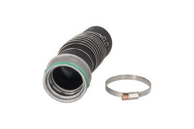 FURTUN EAR SUPRAALIMENTARE