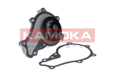 Water Pump, engine cooling T0087