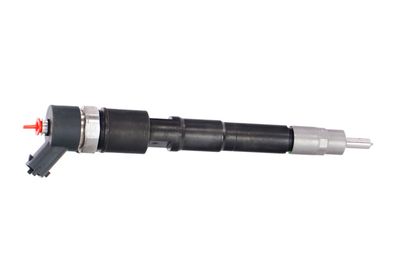 INJECTOR REMANTE 002003000031R 39