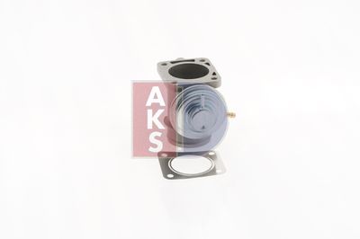 AKS DASIS AGR-Ventil (055023N)
