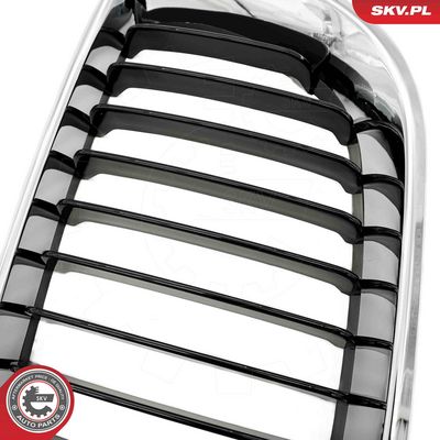 GRILA RADIATOR ESEN SKV 66SKV079 6