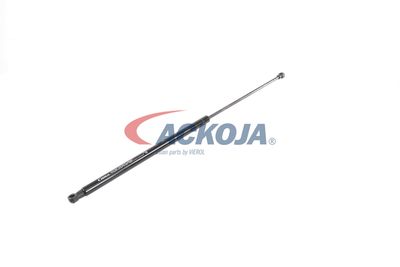 AMORTIZOR PORTBAGAJ ACKOJA A380338 55