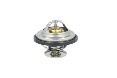 TERMOSTAT LICHID RACIRE NRF 725478 21